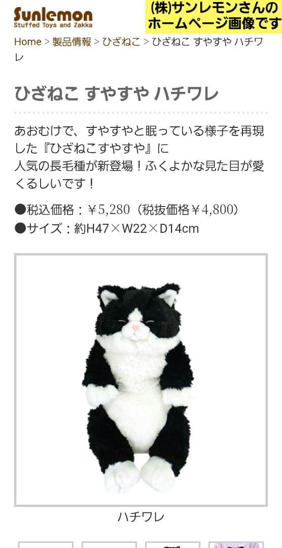 サンレモン ひざねこ すやすや L サイズ 4色