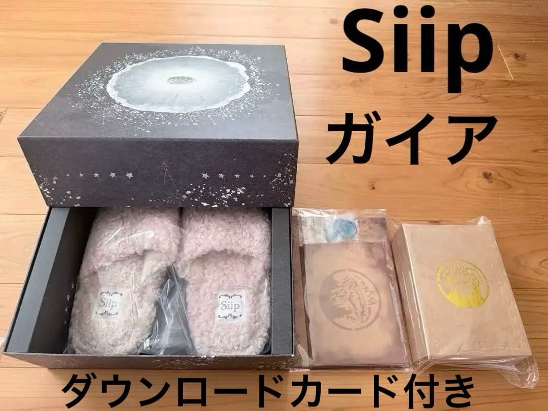 【期間限定セール】Siip ガイア　完全生産限定盤グッズのみ(⚠️カードなし)