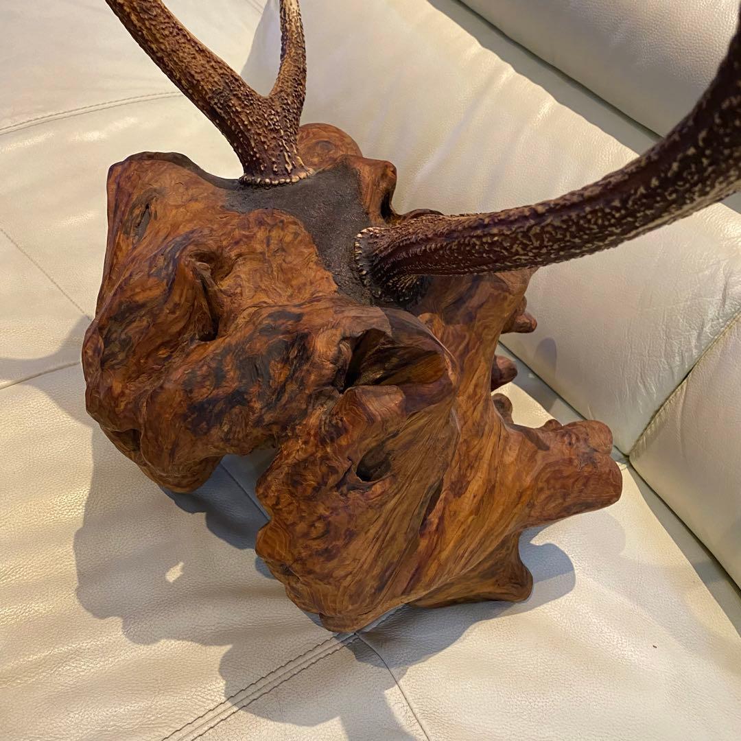 大幅値下げ！鹿の角オブジェ