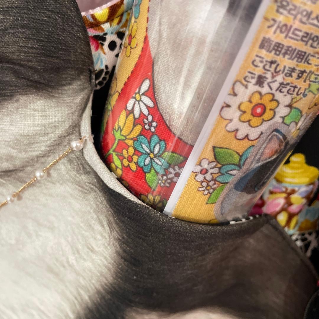 コヤンイサムチョン　ポーチ付きトートバッグ