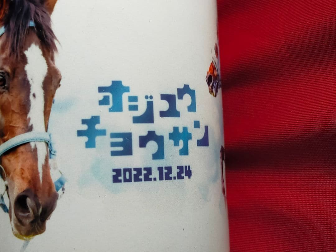 ②◆　競馬　JRA　◆オジュウチョウサン◆引退記念グッズ◆マグカップ　缶バッチ◆