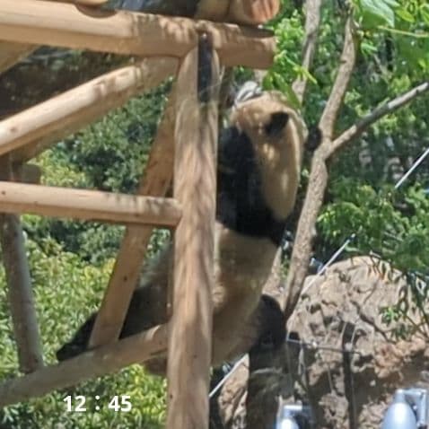 シャンシャン♡ウエデェングドレスご紹介♡