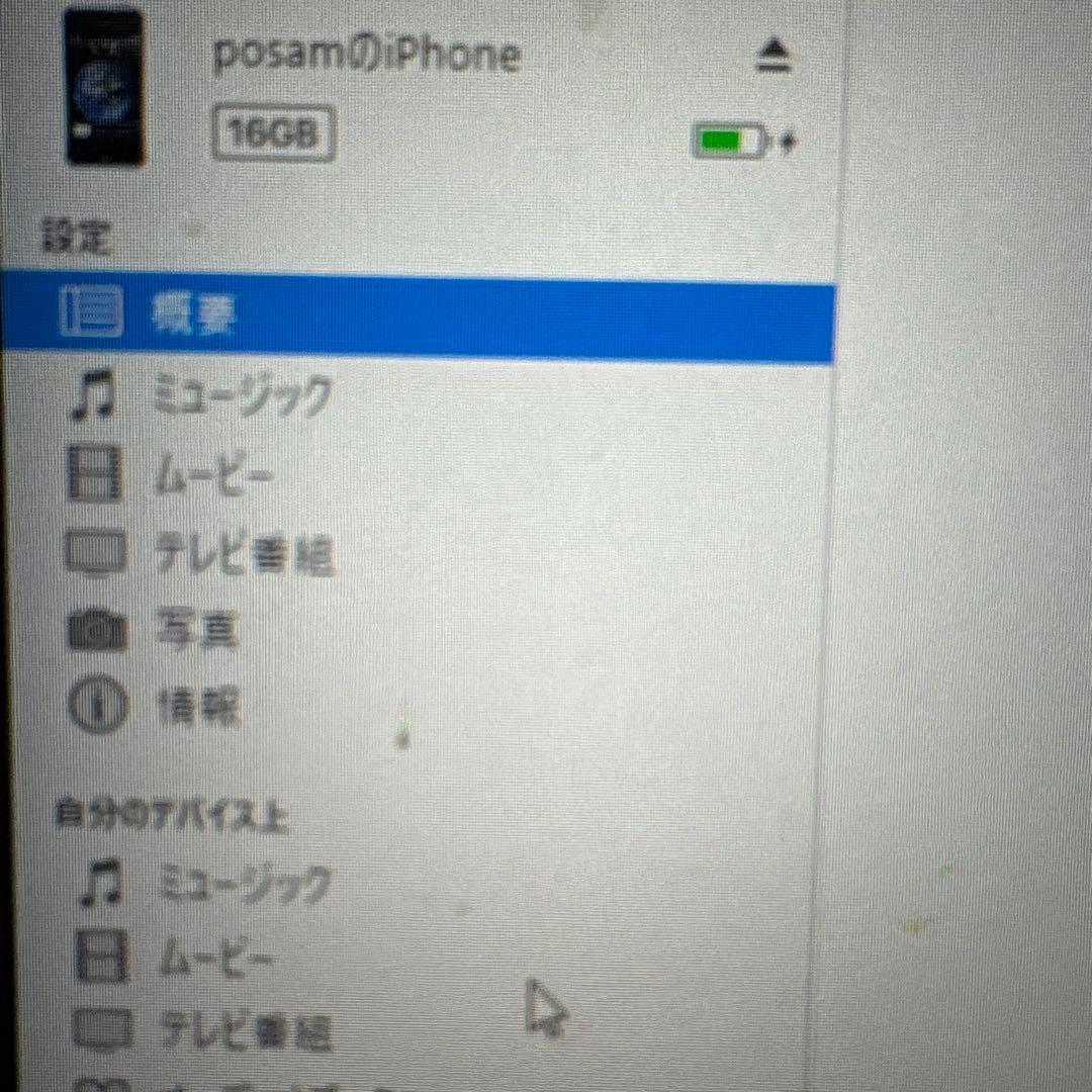カ*ん様 激レア！16GB iPhone初代ヘッドセット付き