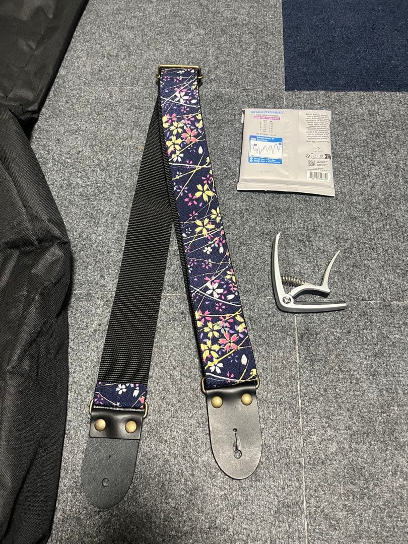 エピフォン Epiphone EL-00 PRO VS