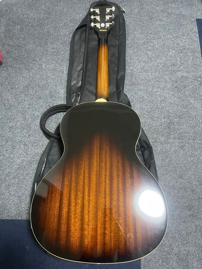 エピフォン Epiphone EL-00 PRO VS