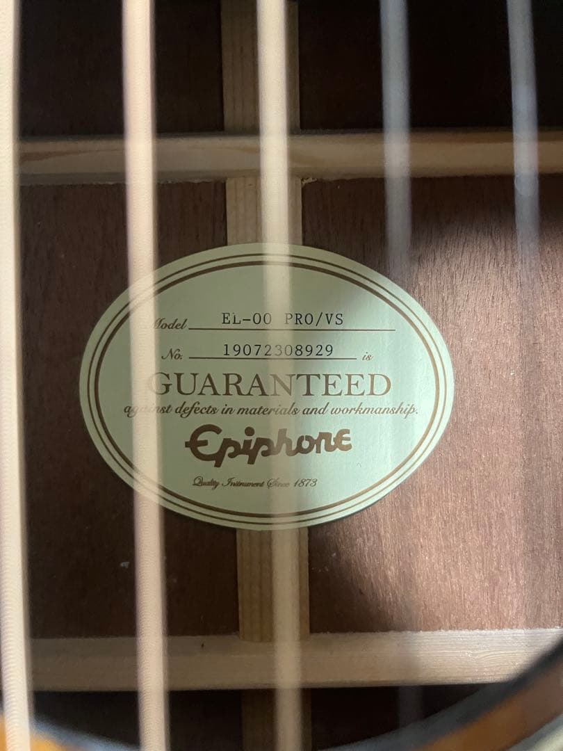 エピフォン Epiphone EL-00 PRO VS
