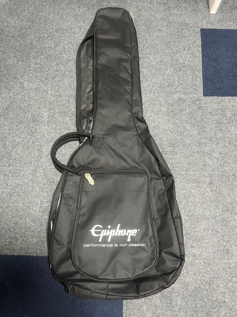エピフォン Epiphone EL-00 PRO VS