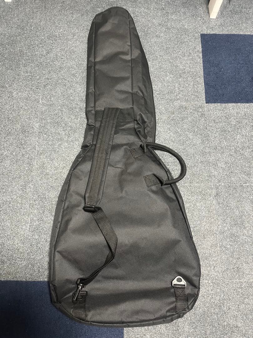 エピフォン Epiphone EL-00 PRO VS