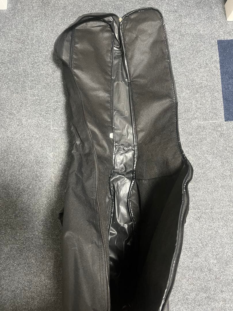 エピフォン Epiphone EL-00 PRO VS