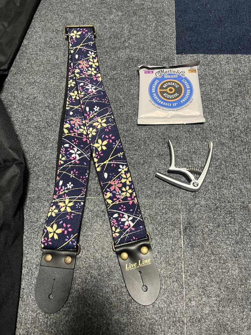 エピフォン Epiphone EL-00 PRO VS