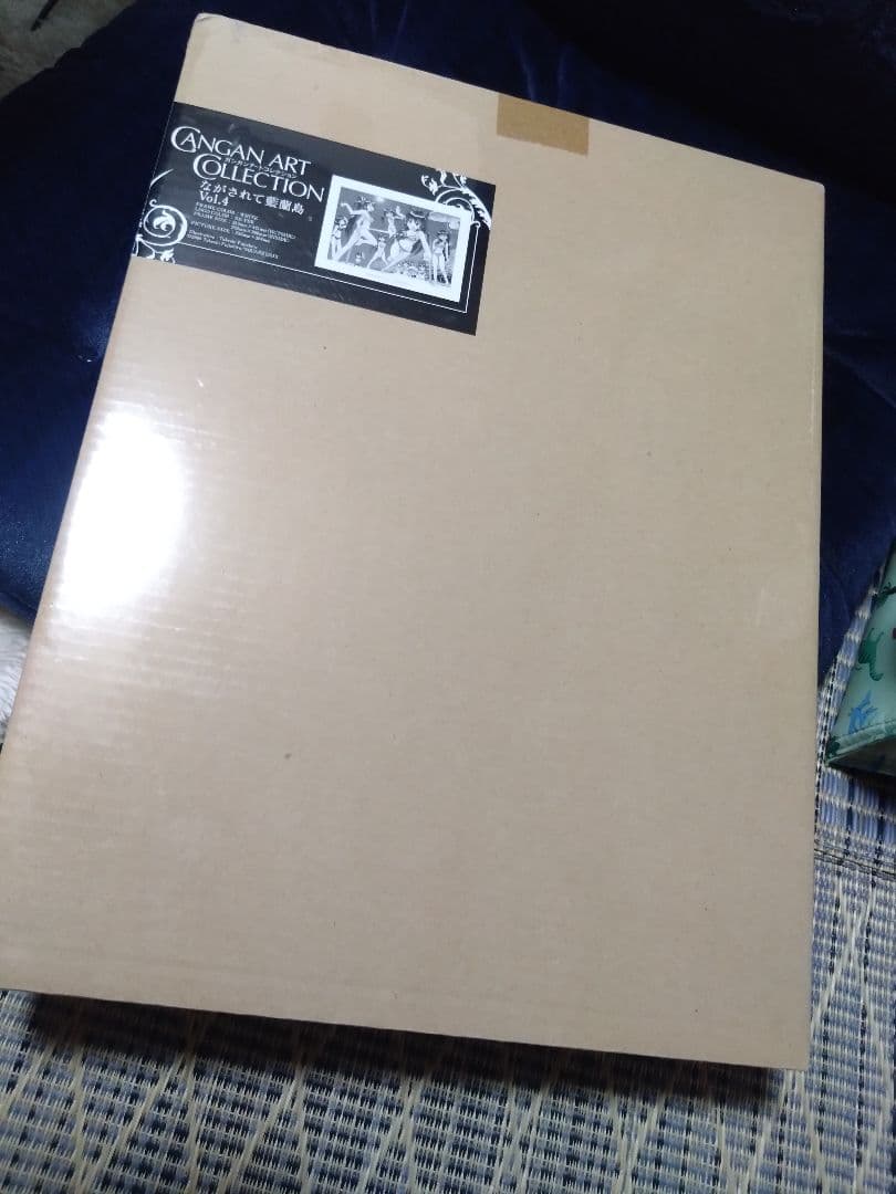 レア・美品 ガンガンアートコレクション ながされて藍蘭島 Vol.2〜4