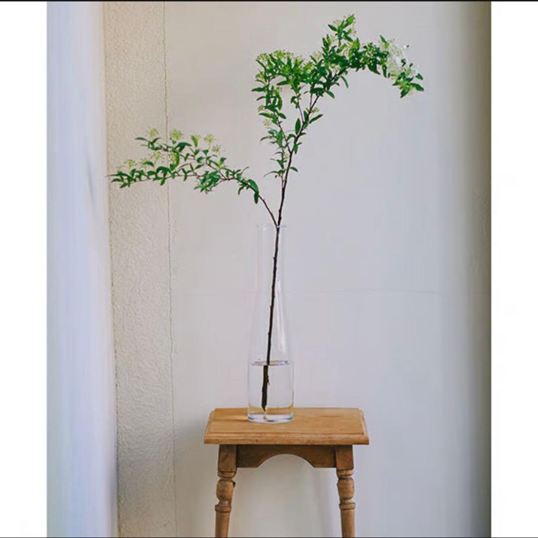 ※バケツ型のみ　ミモレ別注　Sghr スガハラ　フラワーベース２種セット