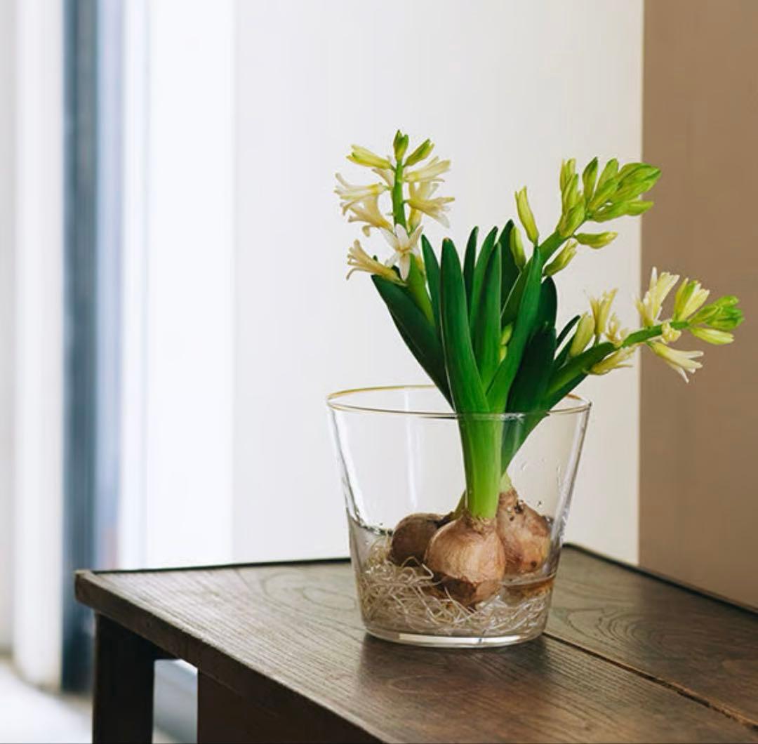 ※バケツ型のみ　ミモレ別注　Sghr スガハラ　フラワーベース２種セット