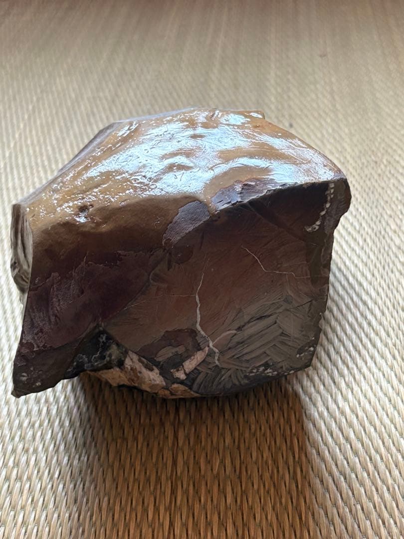 アンモナイト　化石　置物