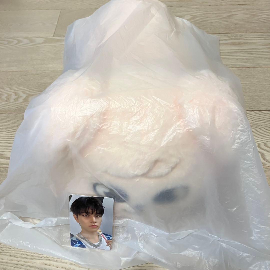 straykids スキズ LYING PLUSH ぬいぐるみ スンミン トレカ