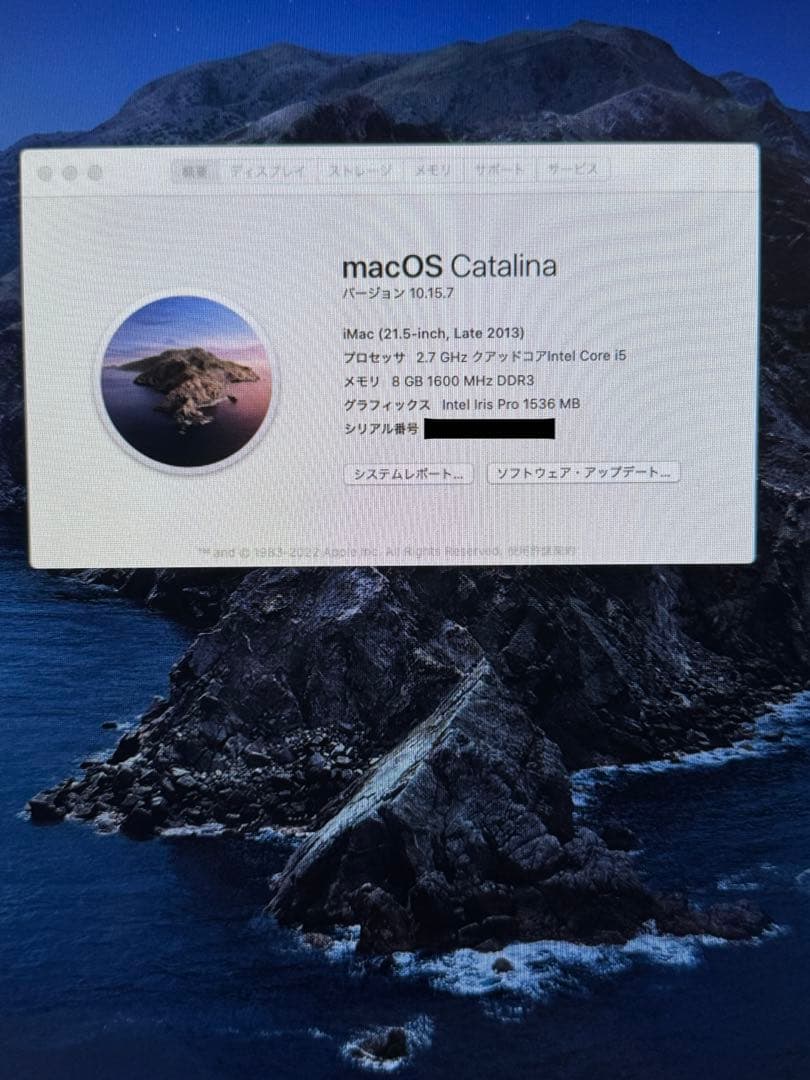 Macデスクトップ iMac(21.5inch, Late 2013)8GB RAM, 1TB HD