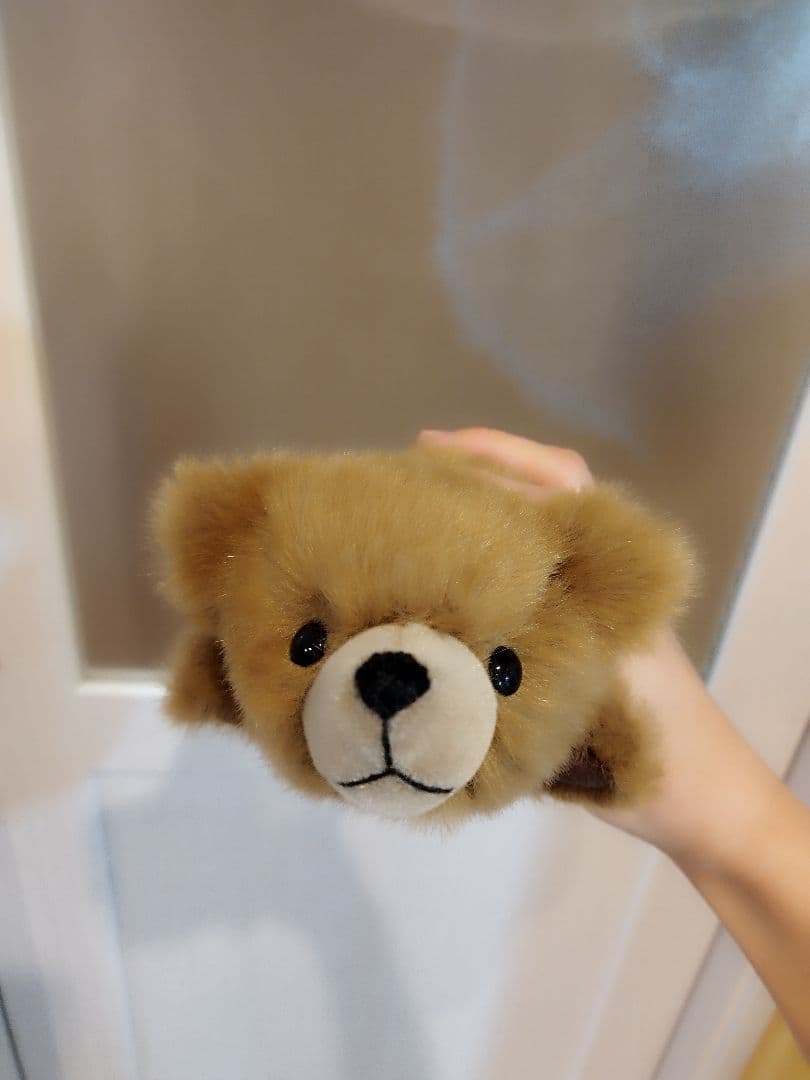 専用　だらくま（黒鼻）