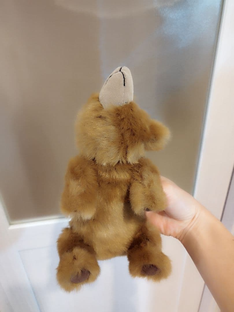 専用　だらくま（黒鼻）