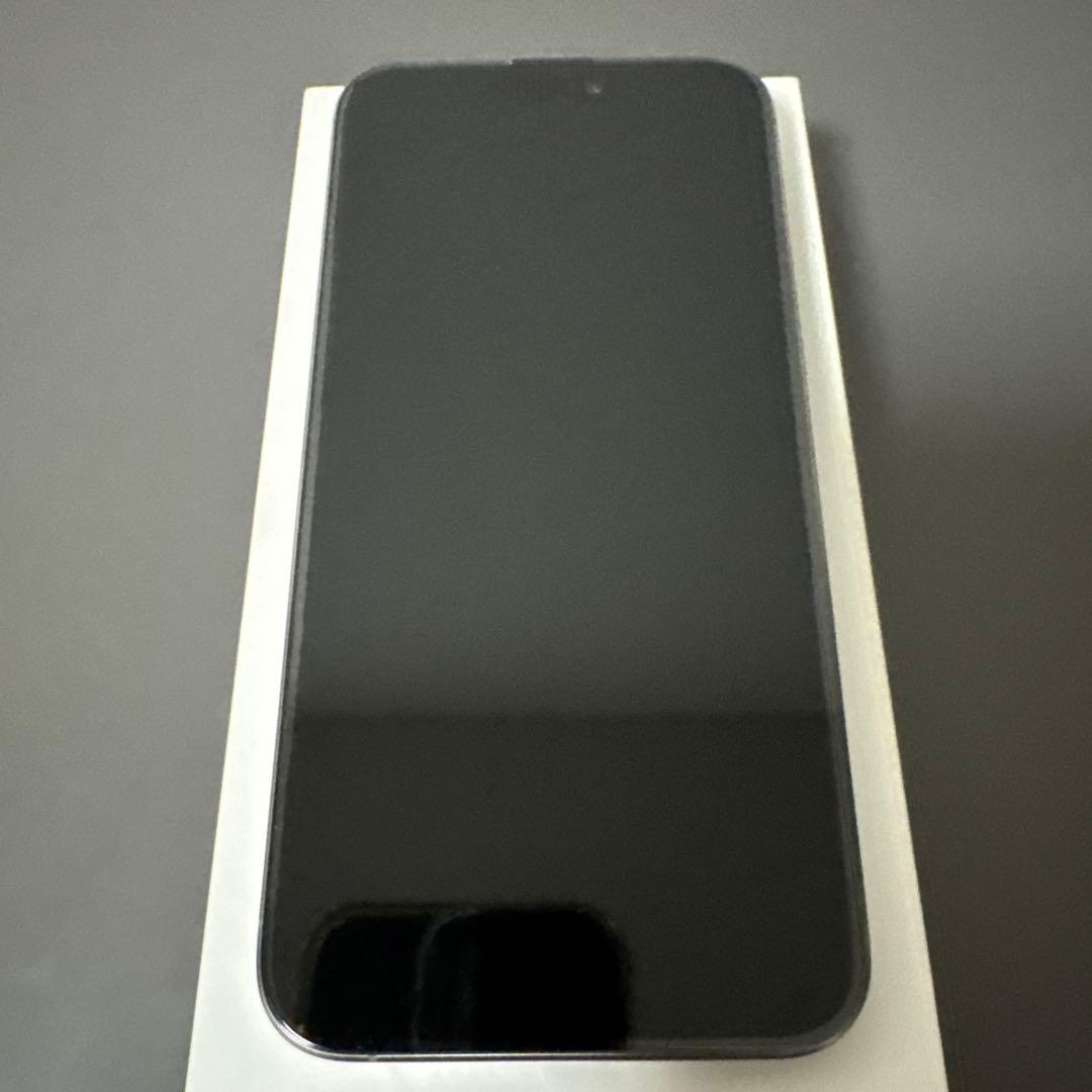 【極美品】iPhone 15 Pro Max 1TB SIMフリー
