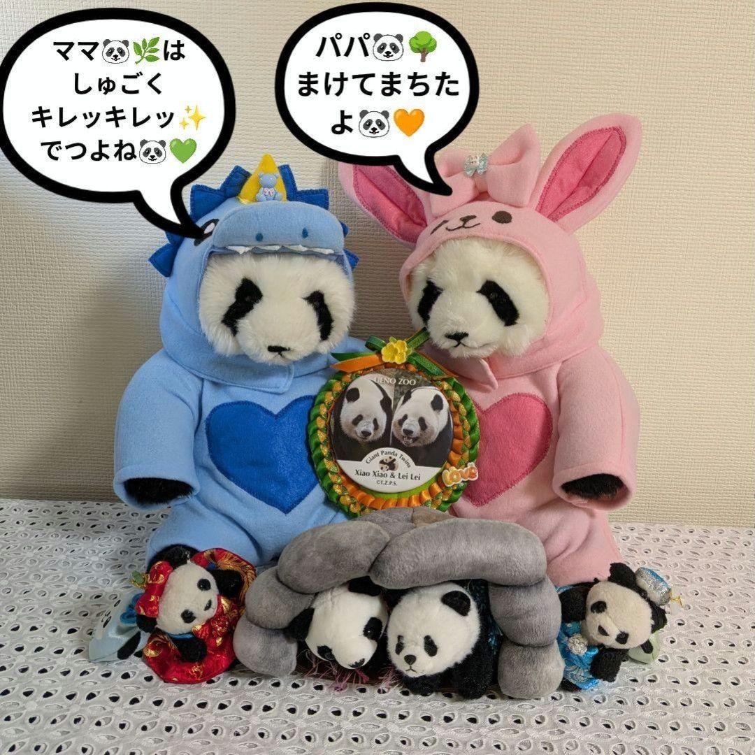 【シャンシャン様オーダー】だっこシャオレイ♡怪獣うさぎ変身コスチュームセット