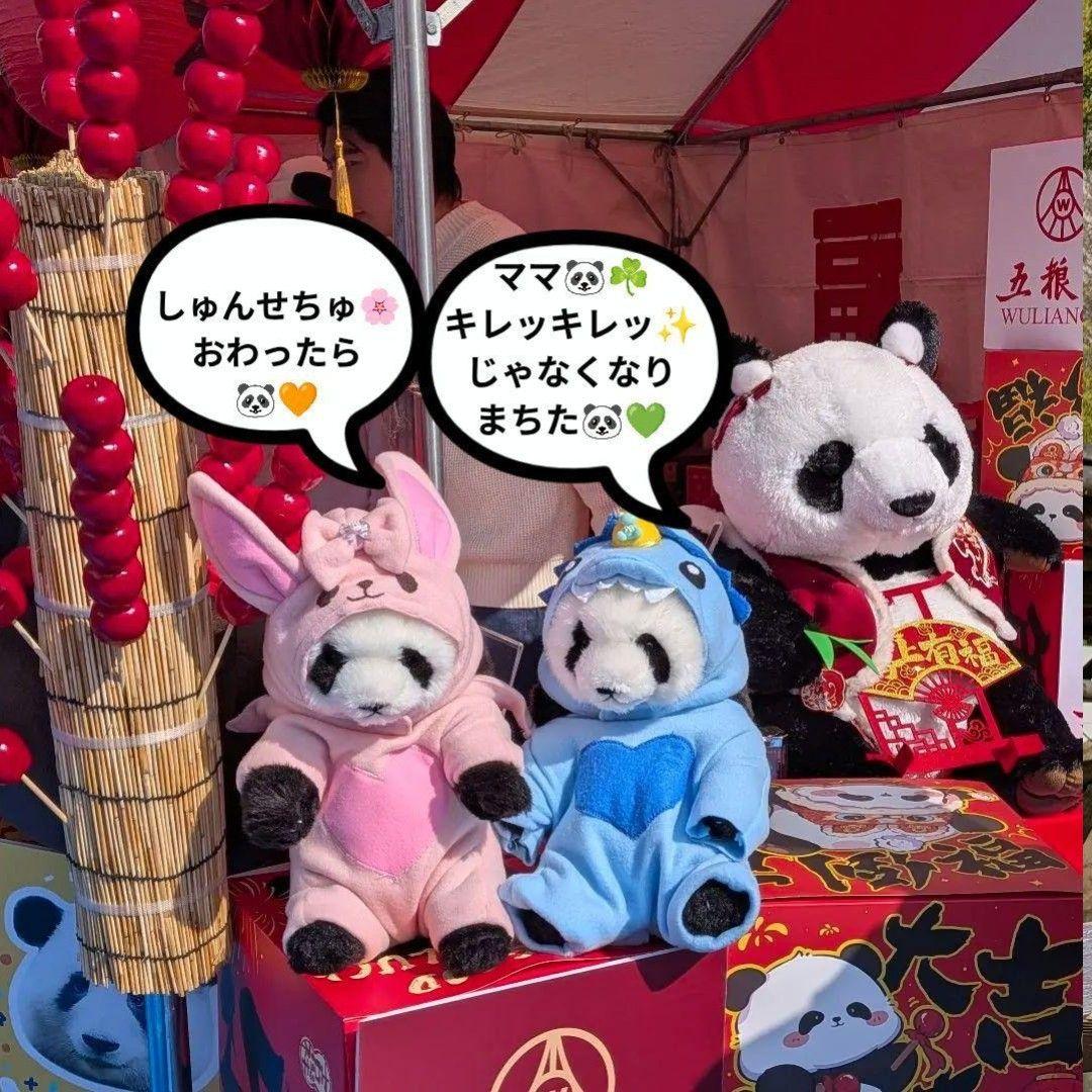 【シャンシャン様オーダー】だっこシャオレイ♡怪獣うさぎ変身コスチュームセット