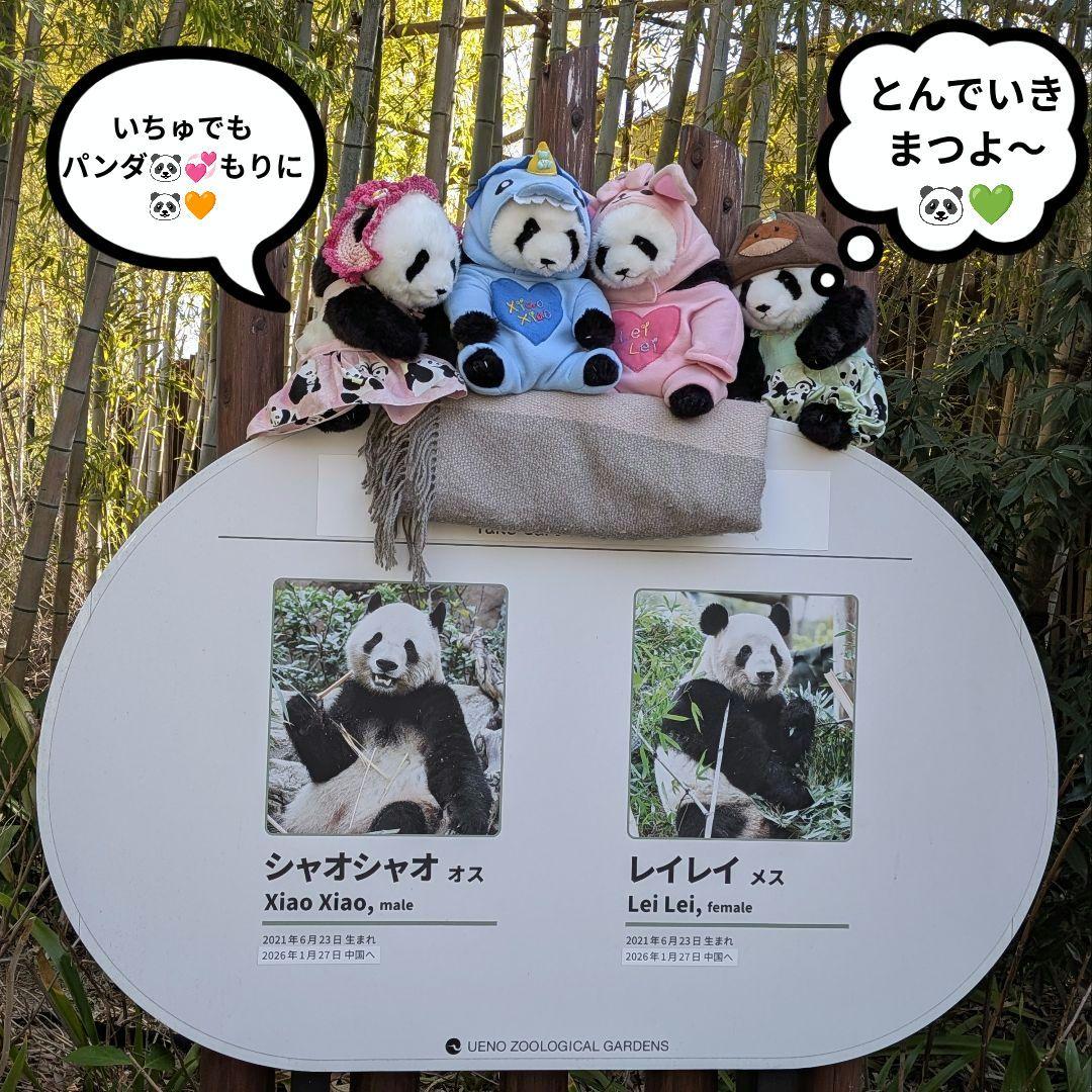 【シャンシャン様オーダー】だっこシャオレイ♡怪獣うさぎ変身コスチュームセット