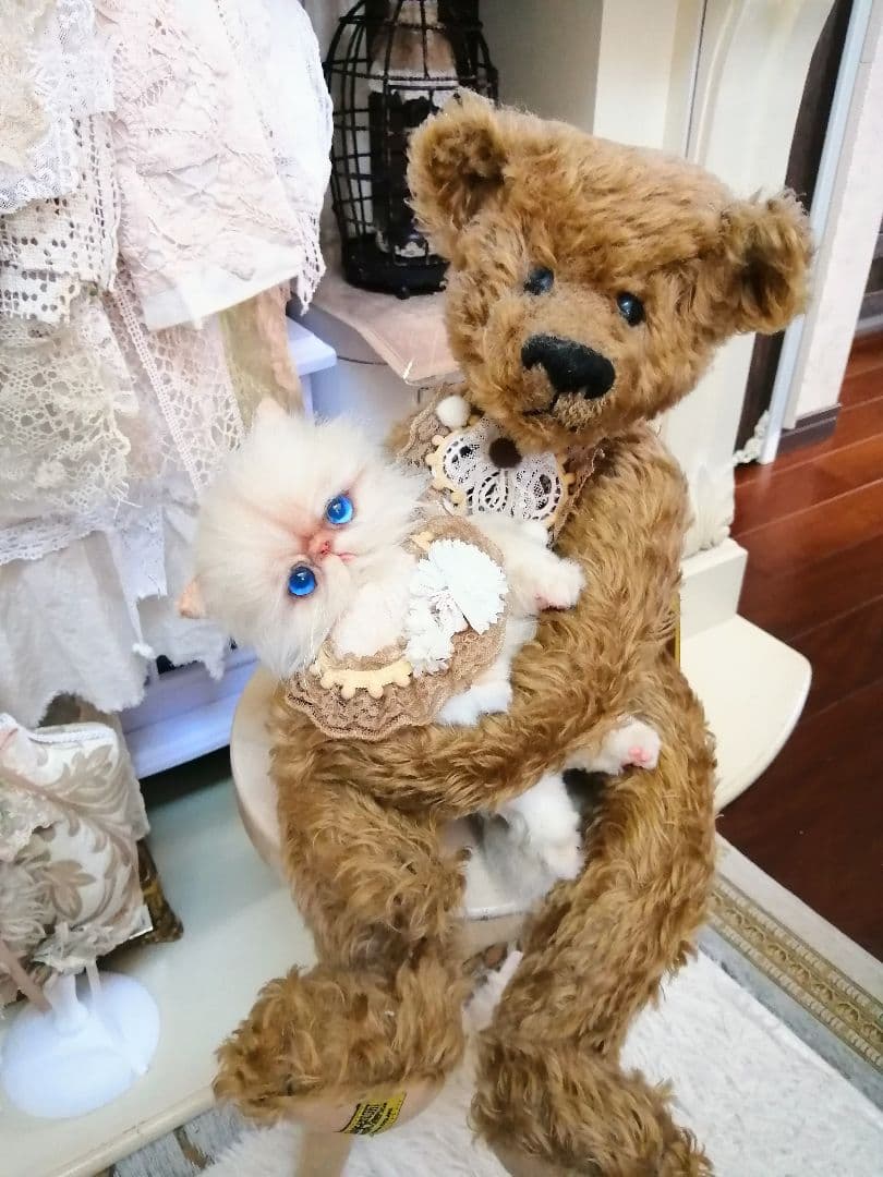 抱っこちゃん❤️猫*エキゾチック❤️ハンドメイド*ぬいぐるみ❤️抱っこにゃん❤️