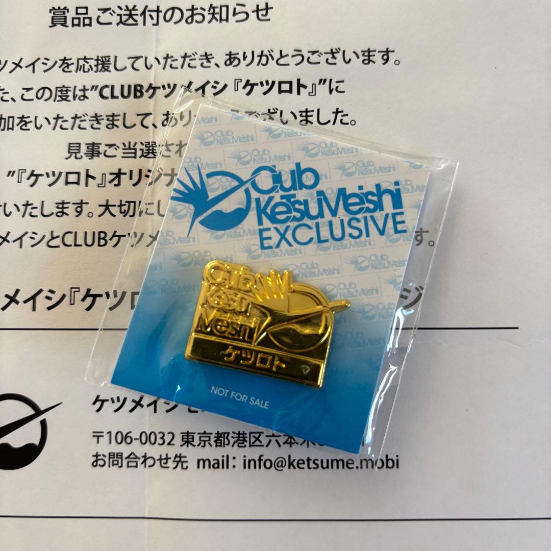 ケツメイシ　ケツロト　ピンバッジ　非売品　レア