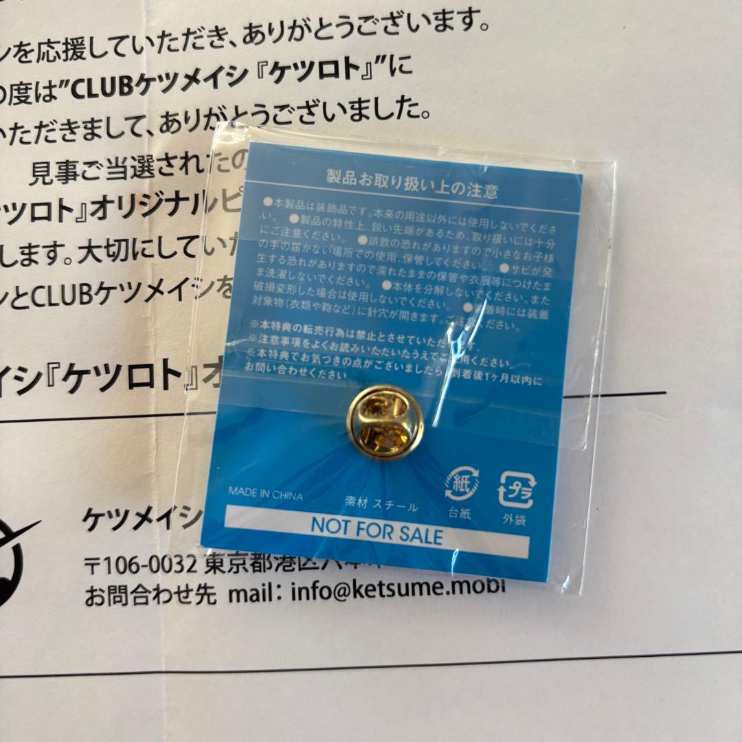 ケツメイシ　ケツロト　ピンバッジ　非売品　レア