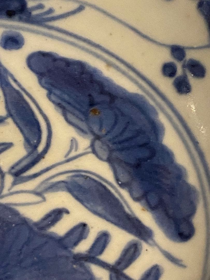 水草水禽文　古染付　平鉢