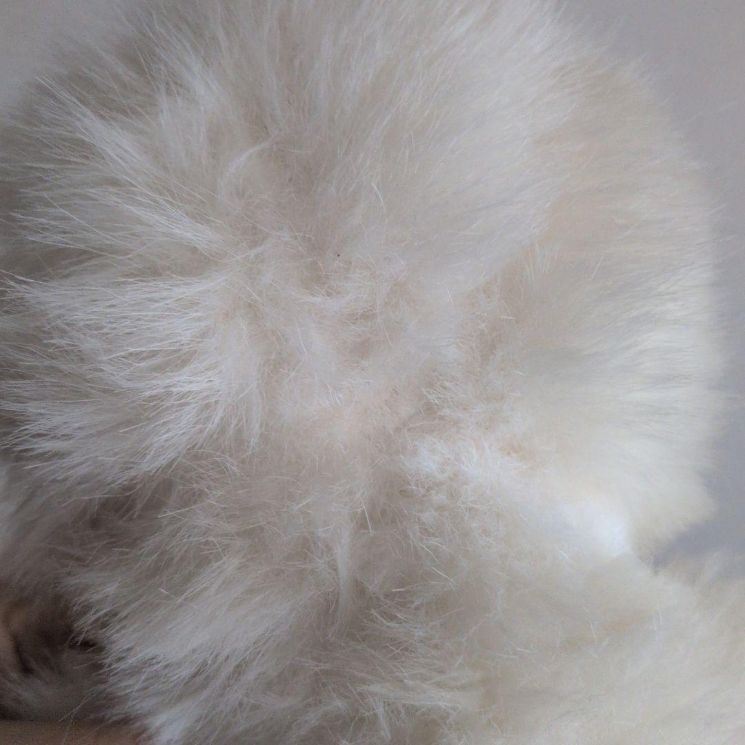 白猫　ぬいぐるみ　レトロ