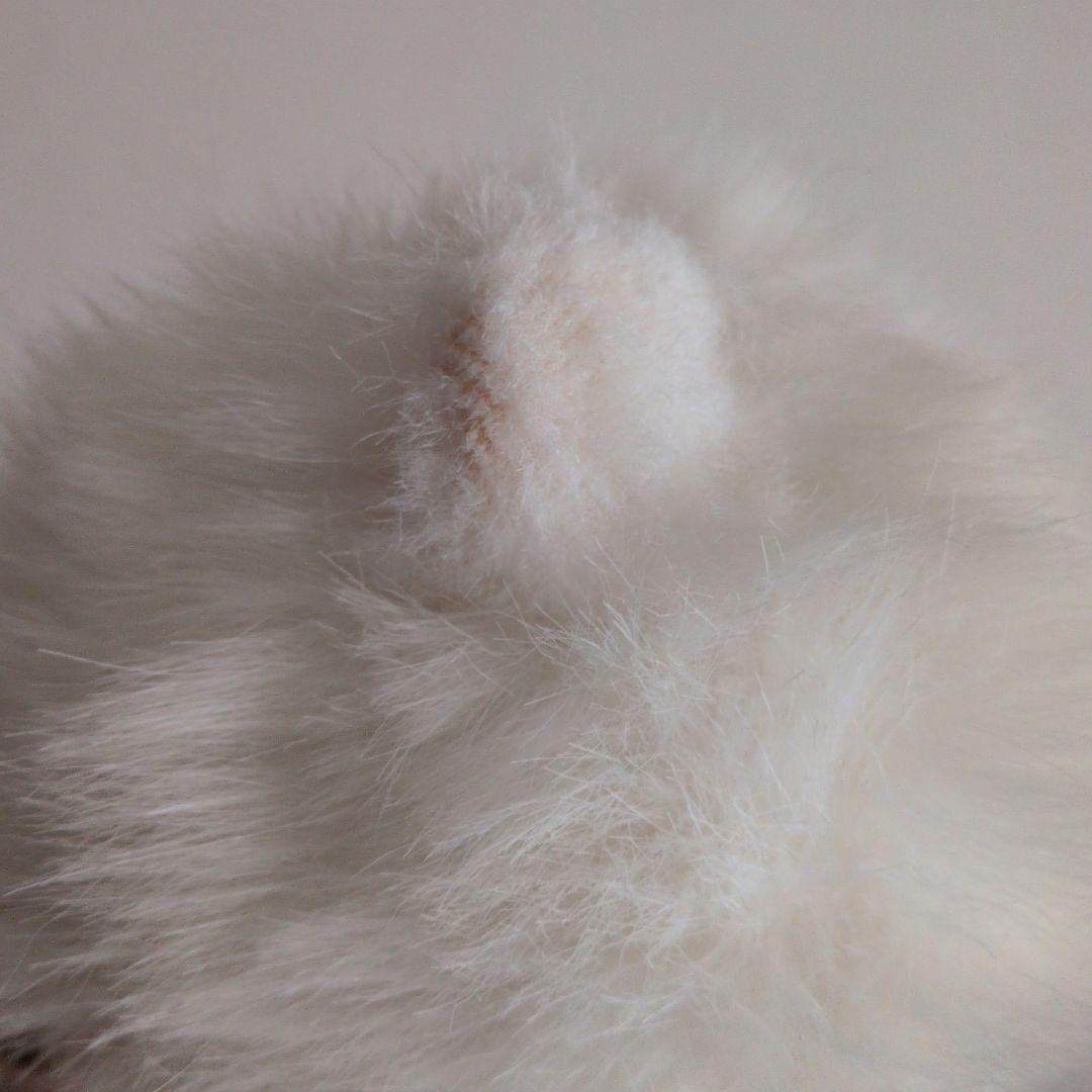 白猫　ぬいぐるみ　レトロ