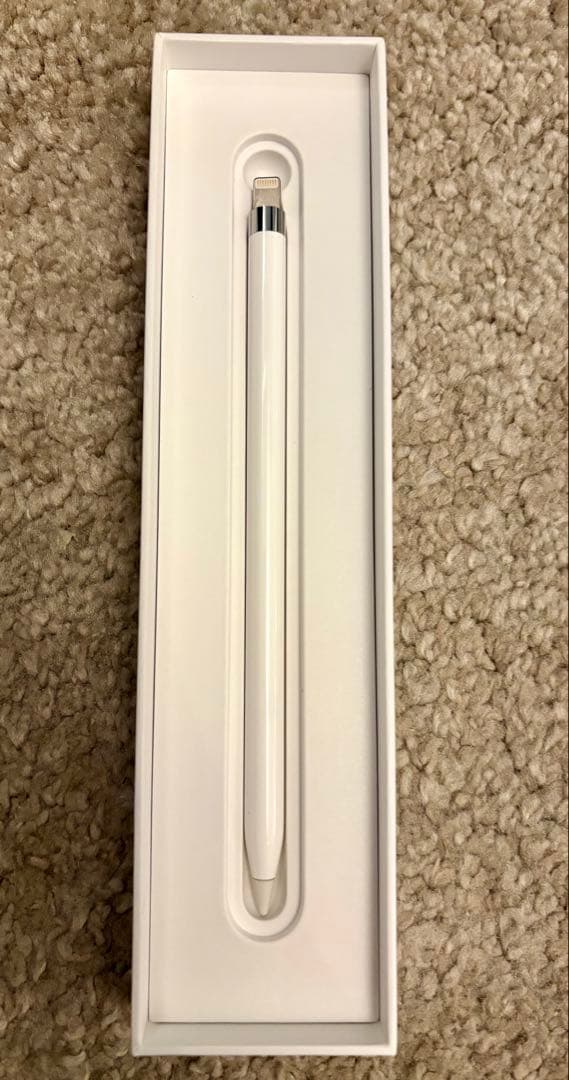 セット iPad pro 10.5インチ Apple Pencil キ