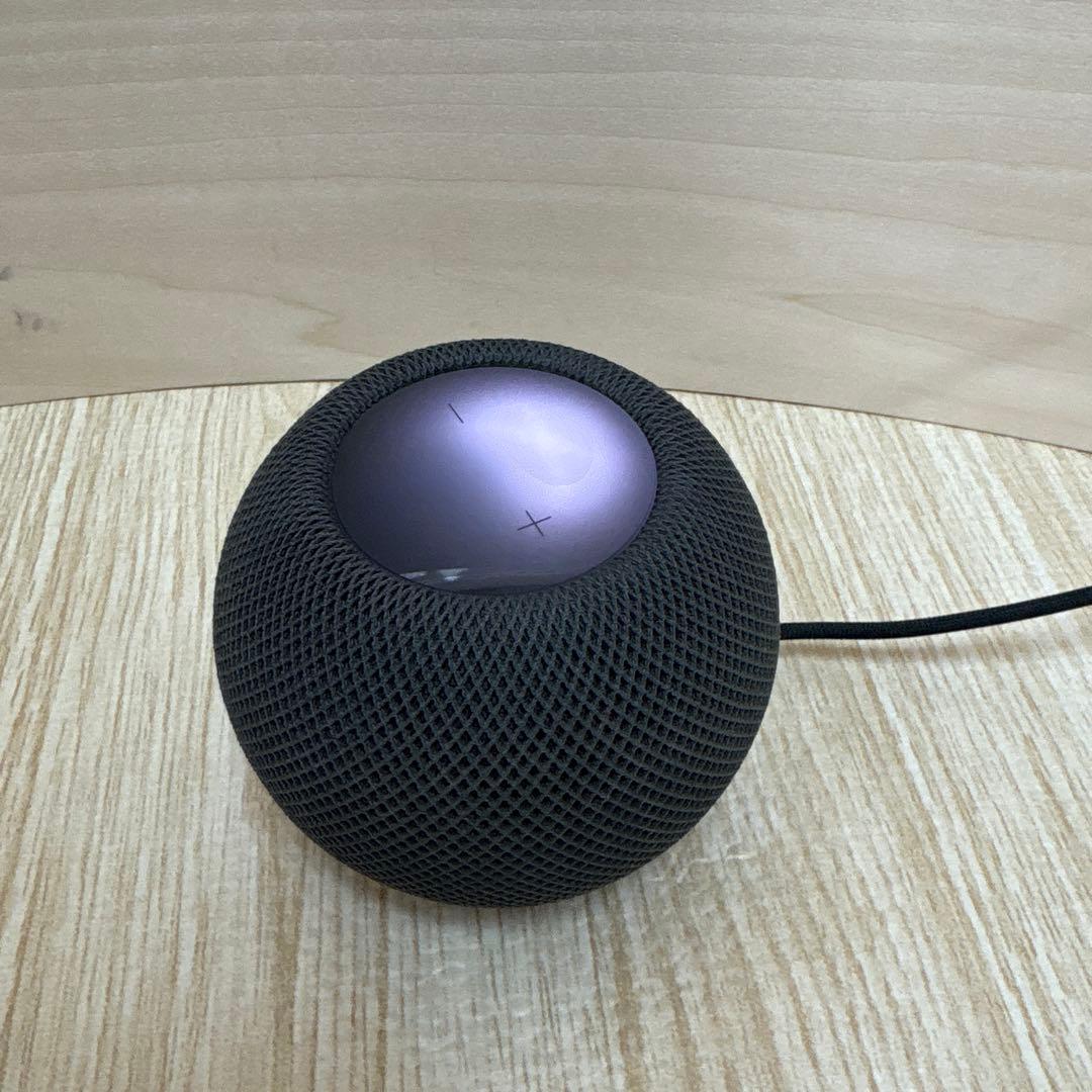 Apple Pod mini スペースグレイ　 3/4まで取り置き中