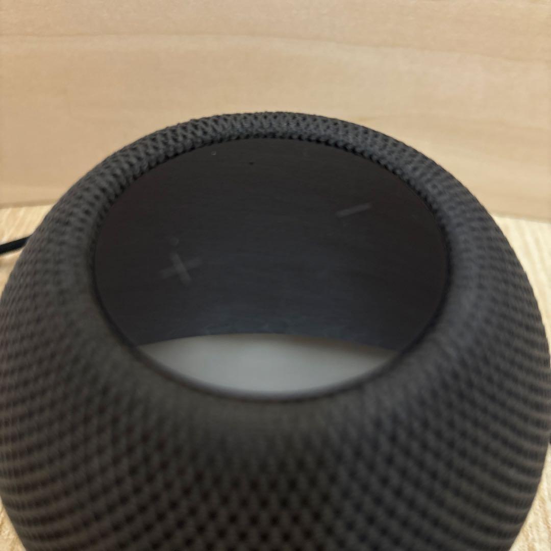 Apple Pod mini スペースグレイ　 3/4まで取り置き中