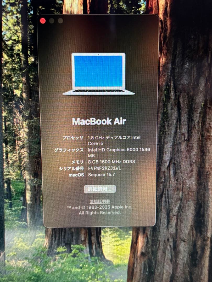 MacBook本体 MacBook Air 13 2017 SSD256 Sequoia