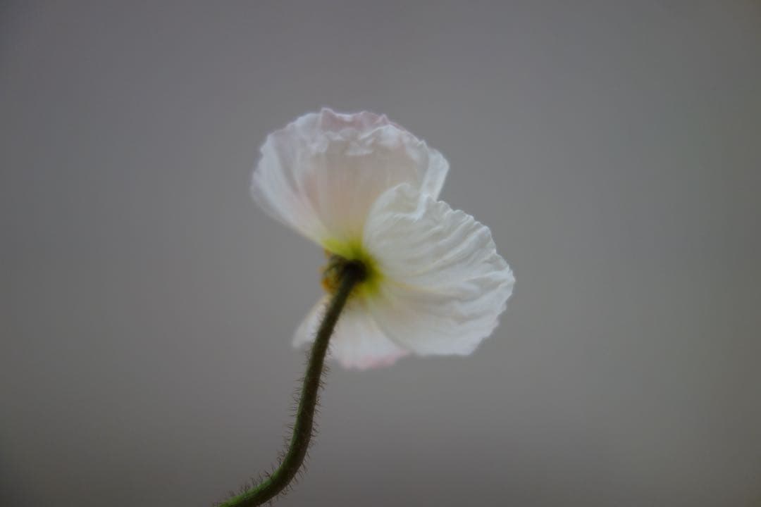 KMRR SONY ソニー Cyber-Shot DSC-RX100 初代
