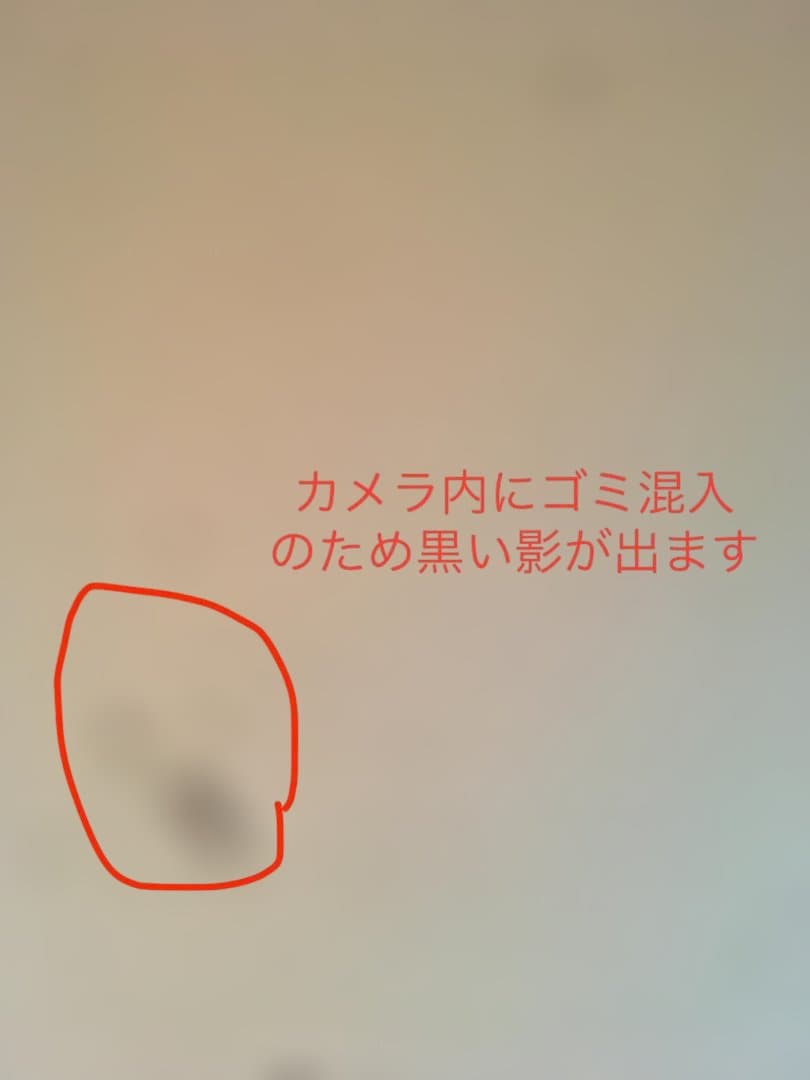 【消音】【海外】iPhone SE (第1世代) 64GB シャッター音無