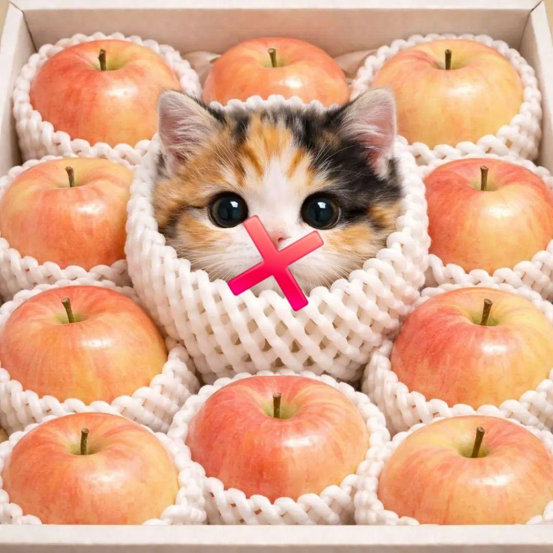 果物ねこちゃんパネル生地　ハンドメイド
