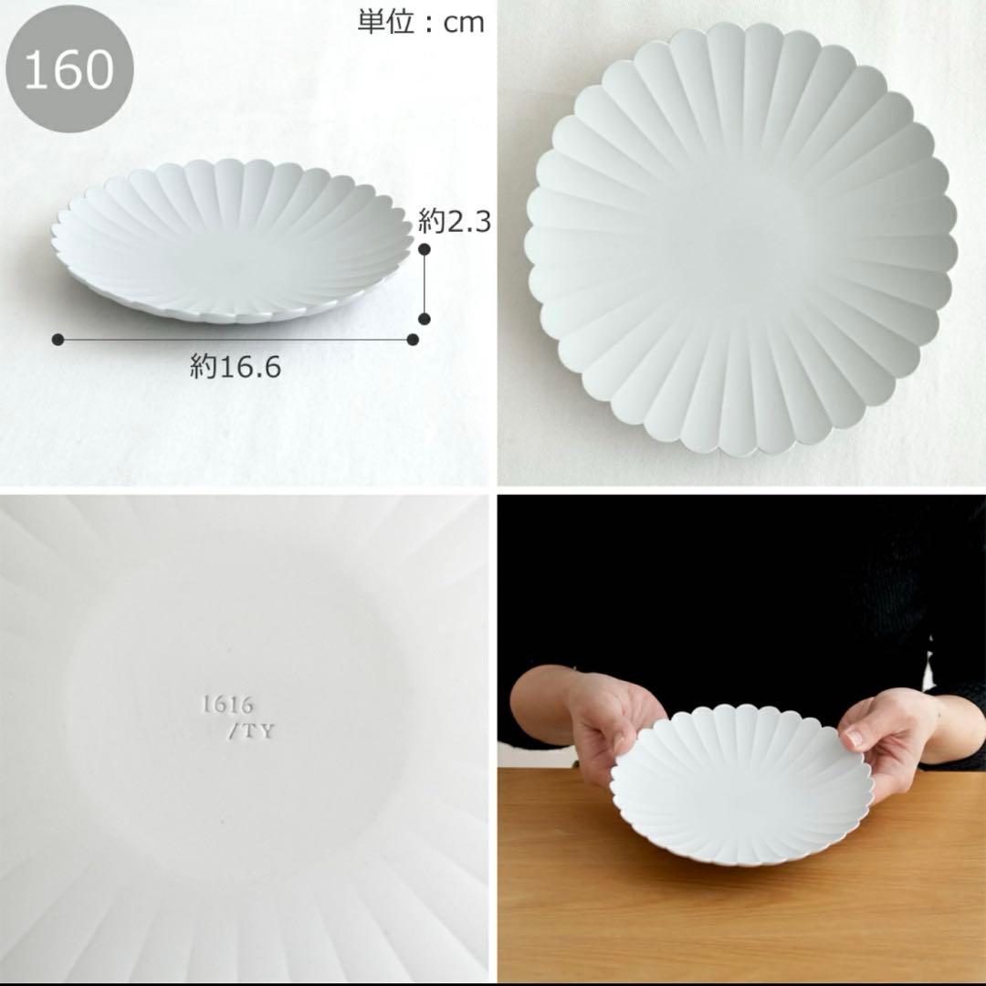 1616/arita japan TYパレスプレート 有田焼 16cm 22cm
