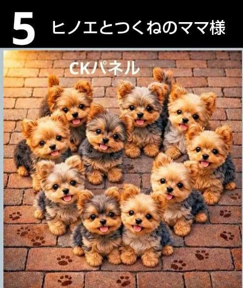 オーダーページ　ハンカチ　149 わんこ柄　ハンドメイド2/15