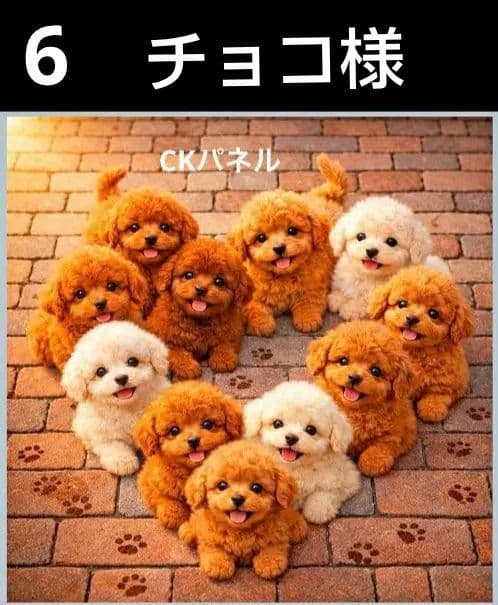 オーダーページ　ハンカチ　149 わんこ柄　ハンドメイド2/15