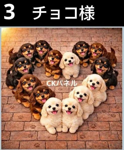 オーダーページ　ハンカチ　149 わんこ柄　ハンドメイド2/15