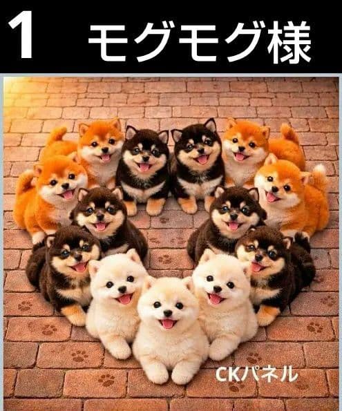 オーダーページ　ハンカチ　149 わんこ柄　ハンドメイド2/15