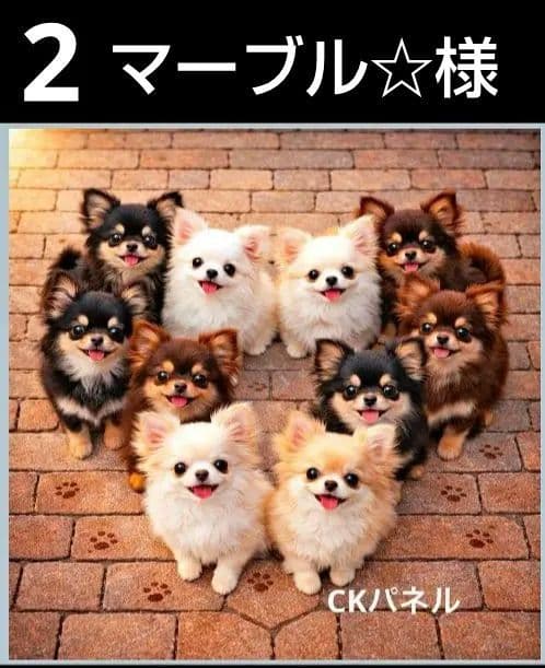 オーダーページ　ハンカチ　149 わんこ柄　ハンドメイド2/15