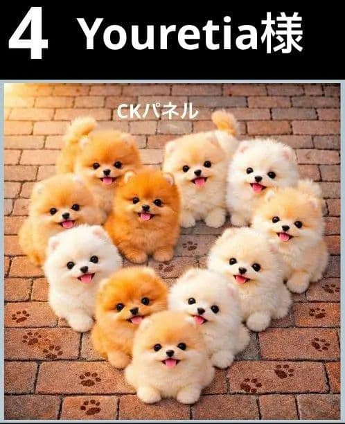 オーダーページ　ハンカチ　149 わんこ柄　ハンドメイド2/15