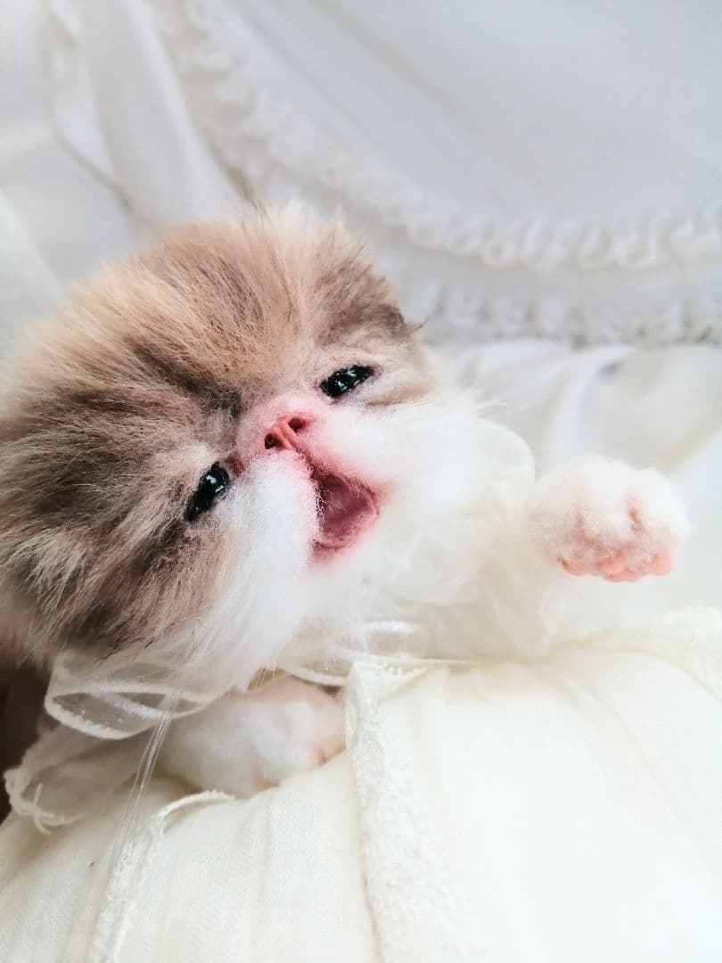 ママぁ～♡お世話セット♡エキゾチック子猫ちゃん♡アートドール♡ぬいぐるみ♡