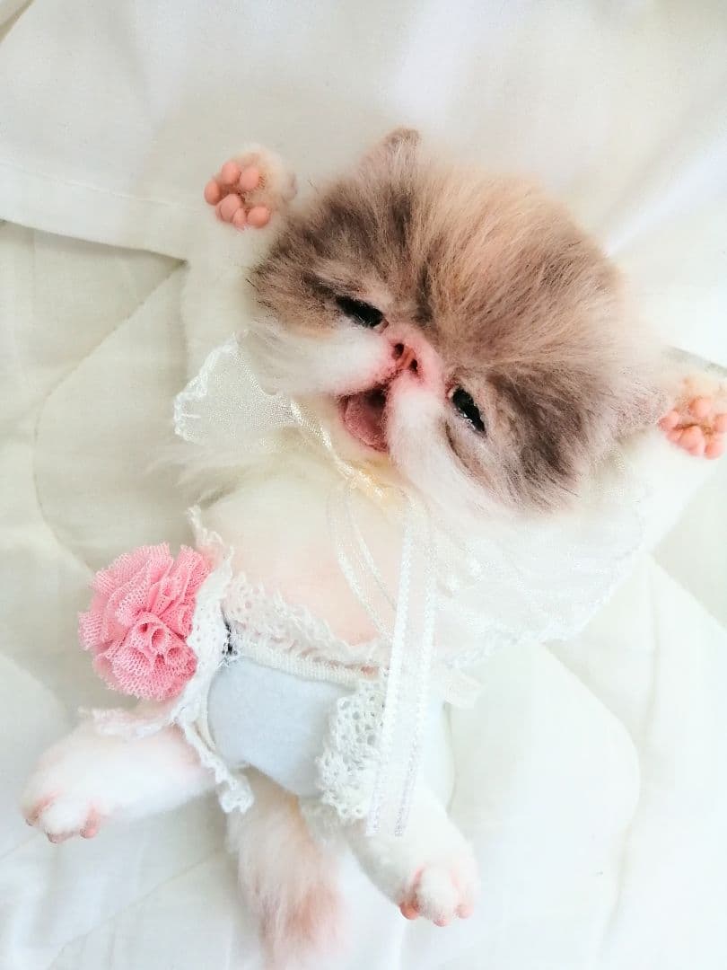 ママぁ～♡お世話セット♡エキゾチック子猫ちゃん♡アートドール♡ぬいぐるみ♡