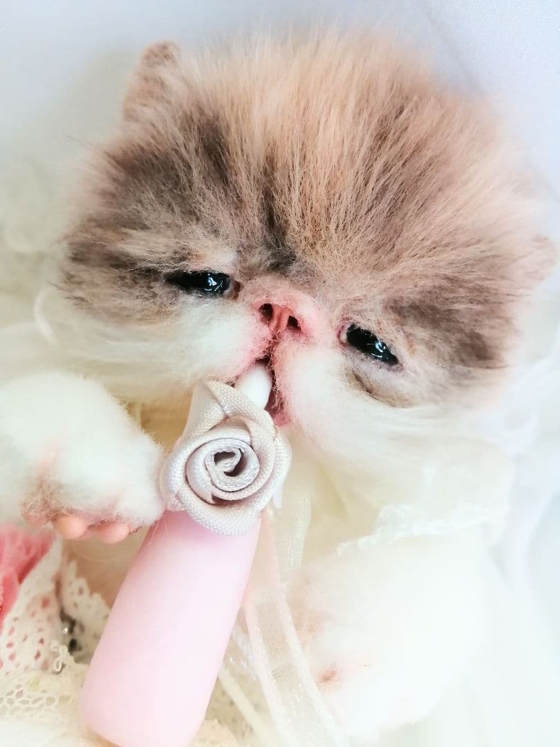ママぁ～♡お世話セット♡エキゾチック子猫ちゃん♡アートドール♡ぬいぐるみ♡