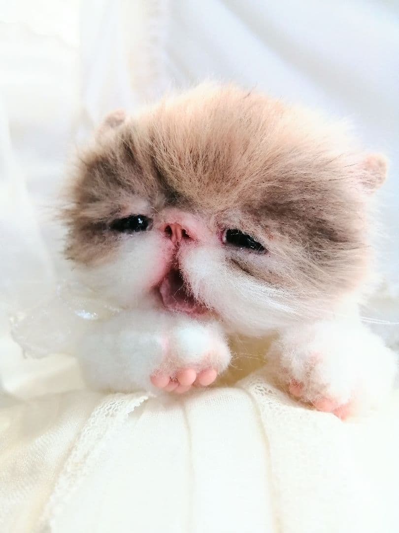 ママぁ～♡お世話セット♡エキゾチック子猫ちゃん♡アートドール♡ぬいぐるみ♡
